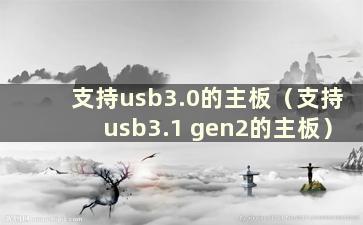 支持usb3.0的主板（支持usb3.1 gen2的主板）